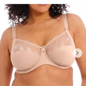 Elomi Beige Lace Detail Bra